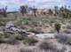 imgp4187_small.jpg