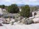 imgp4188_small.jpg