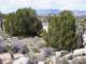 imgp4189_small.jpg