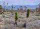 imgp4192_small.jpg