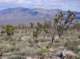 imgp4193_small.jpg