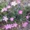 imgp4199_small.jpg