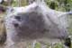 imgp4205_small.jpg