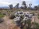 imgp4207_small.jpg
