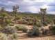 imgp4213_small.jpg