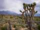 imgp4217_small.jpg