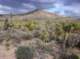 imgp4218_small.jpg