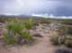 imgp4224_small.jpg
