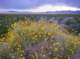 imgp4229_small.jpg