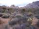 imgp4230_small.jpg