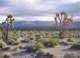 imgp4235_small.jpg