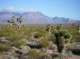 imgp4243_small.jpg