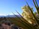 imgp4247_small.jpg