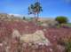 imgp4248_small.jpg
