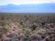 imgp4250_small.jpg