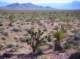 imgp4252_small.jpg