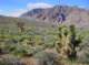 imgp4254_small.jpg