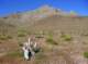imgp4257_small.jpg