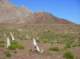 imgp4258_small.jpg