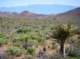 imgp4259_small.jpg