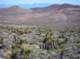 imgp4263_small.jpg