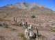 imgp4264_small.jpg