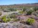 imgp4267_small.jpg