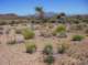 imgp4269_small.jpg