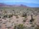 imgp4272_small.jpg