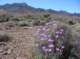imgp4273_small.jpg