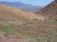 imgp4281_small.jpg