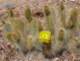 imgp4282_small.jpg