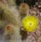 imgp4283_small.jpg