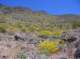 imgp4288_small.jpg