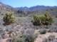 imgp4297_small.jpg