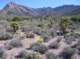 imgp4299_small.jpg