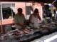 imgp0011_small.jpg