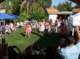 imgp0043_small.jpg