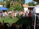 imgp0044_small.jpg