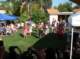 imgp0045_small.jpg