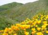 imgp4993_small.jpg