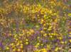 imgp4997_small.jpg