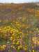 imgp4998_small.jpg