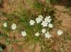 imgp5000_small.jpg