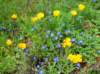 imgp5005_small.jpg