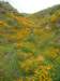 imgp5010_small.jpg