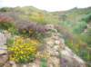 imgp5011_small.jpg