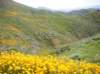 imgp5013_small.jpg