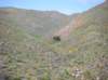 imgp5021_small.jpg