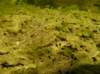 imgp5029_small.jpg